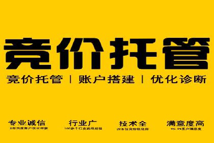 竞价推广实战：经典案例深度解析
